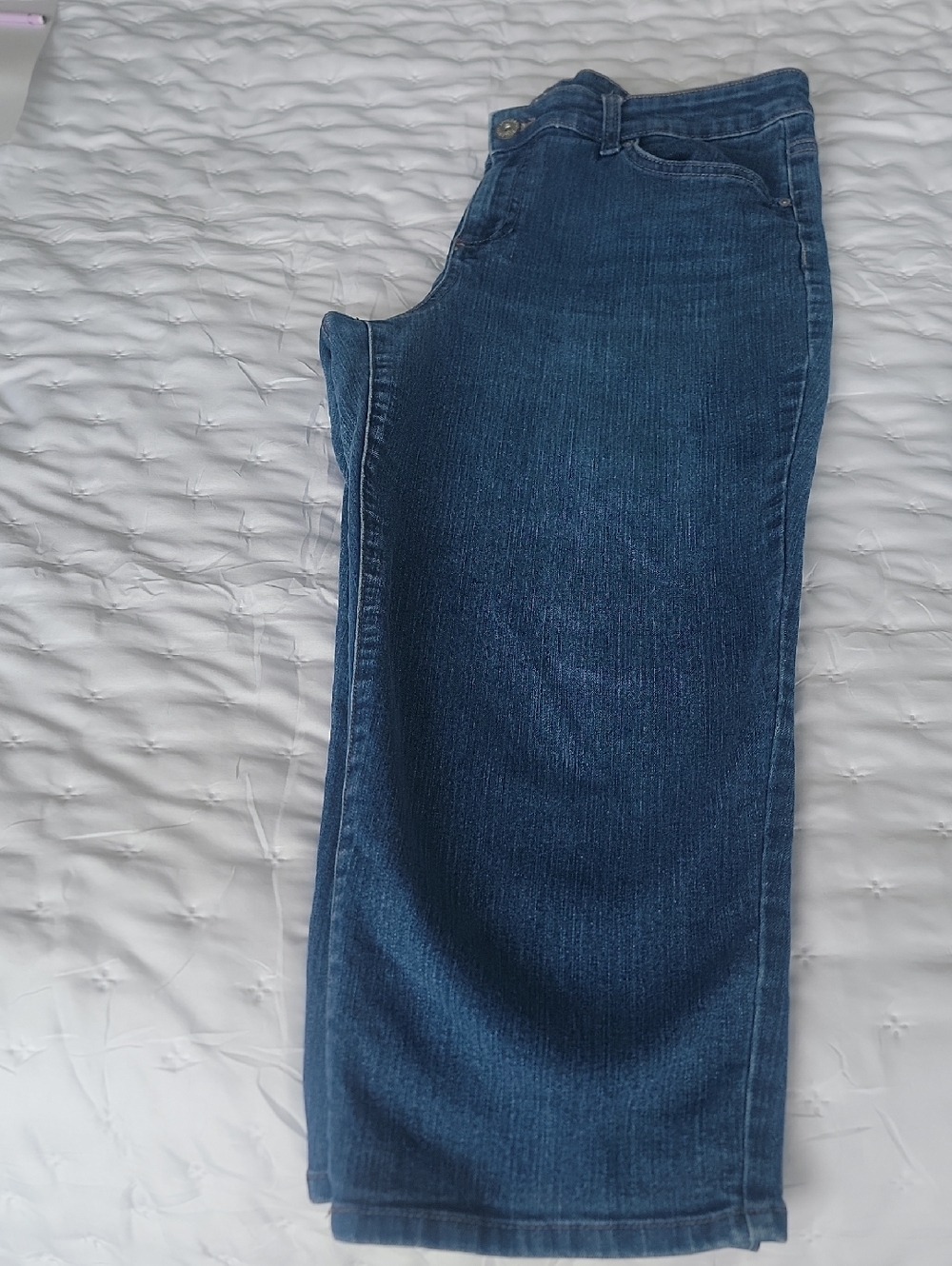 Style & Co. Women's Dark Blue Curvy Capris , Size 12
